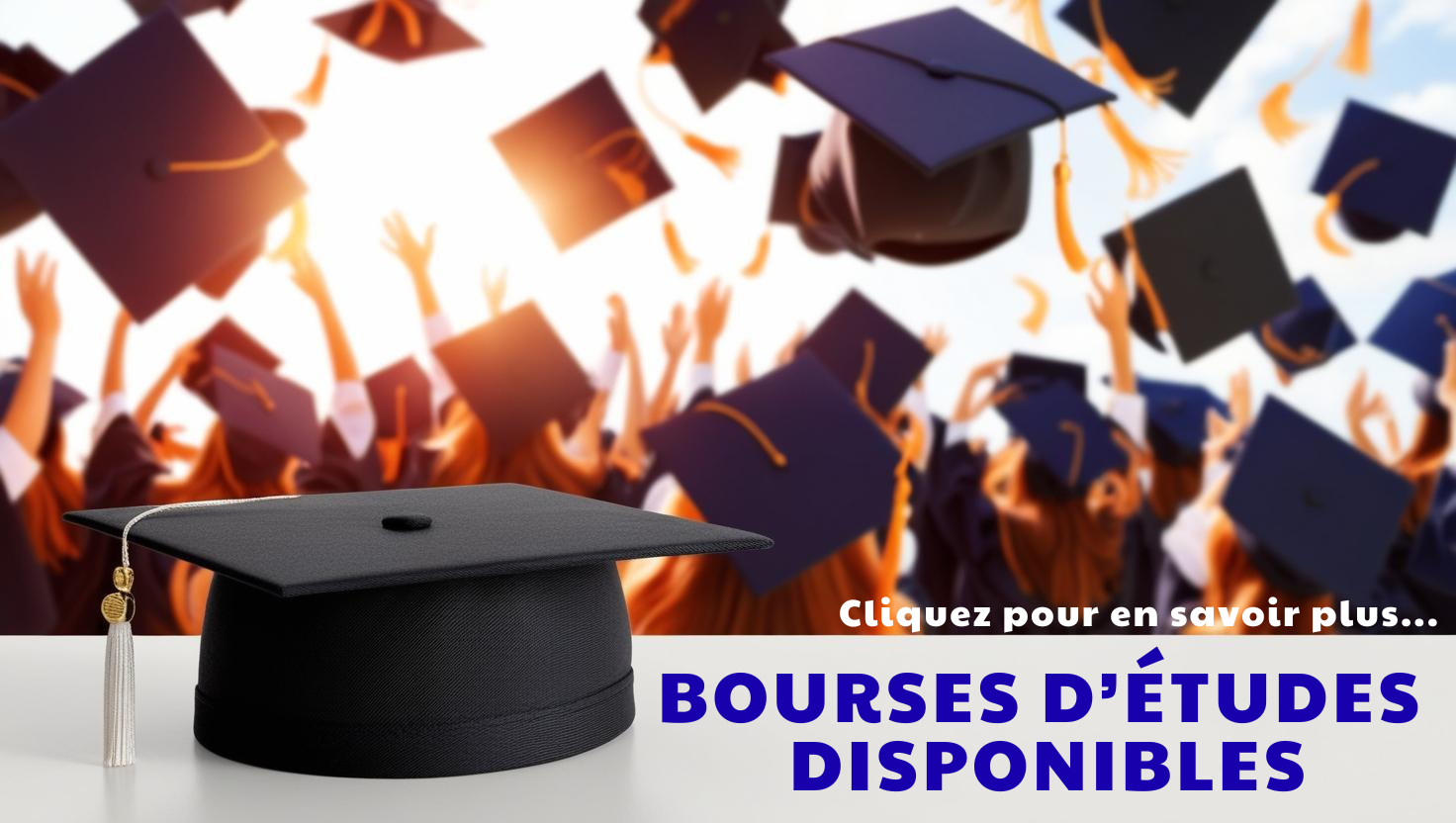 Création sans titre (88)